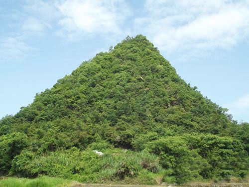 天子岗