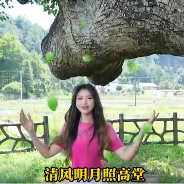 活动视频