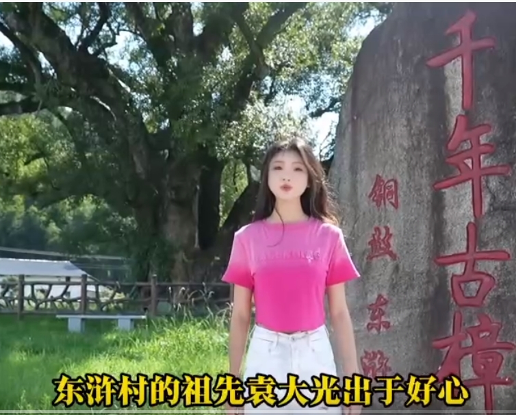 活动视频