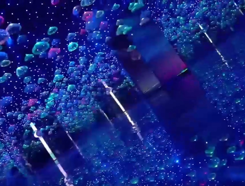 活动视频