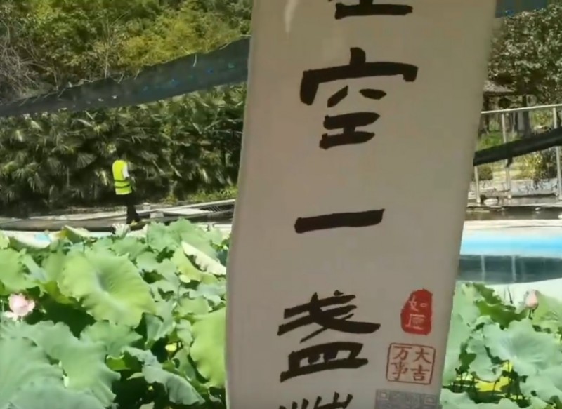 活动视频